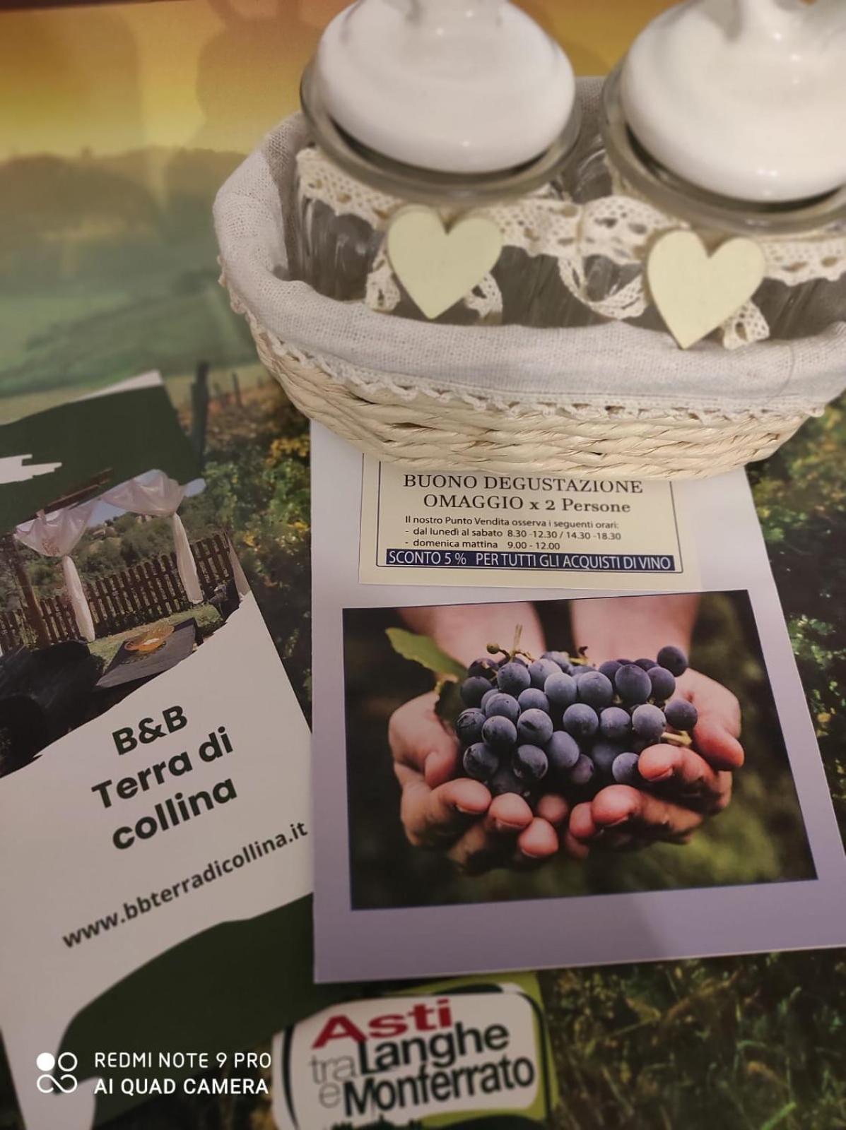 Terra Di Collina *