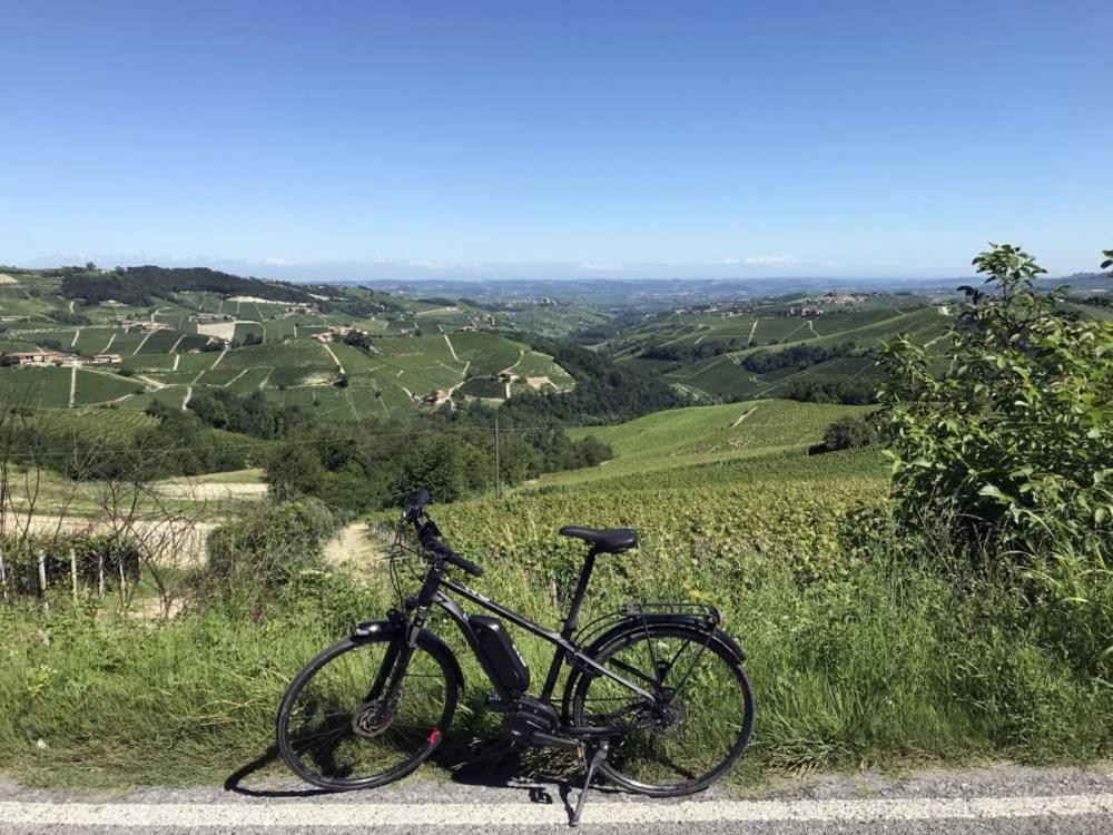Terra Di Collina Montegrosso dʼAsti