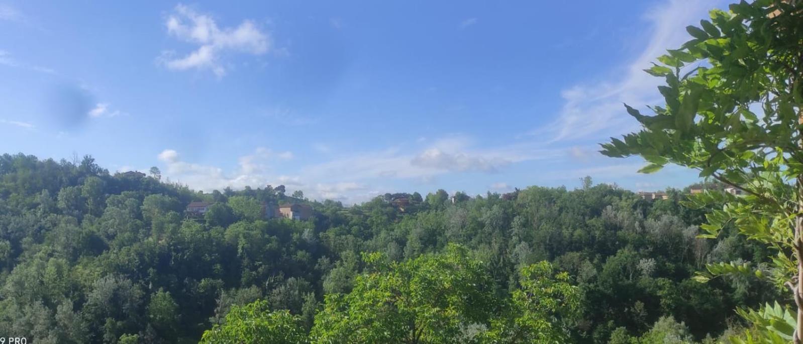 Terra Di Collina