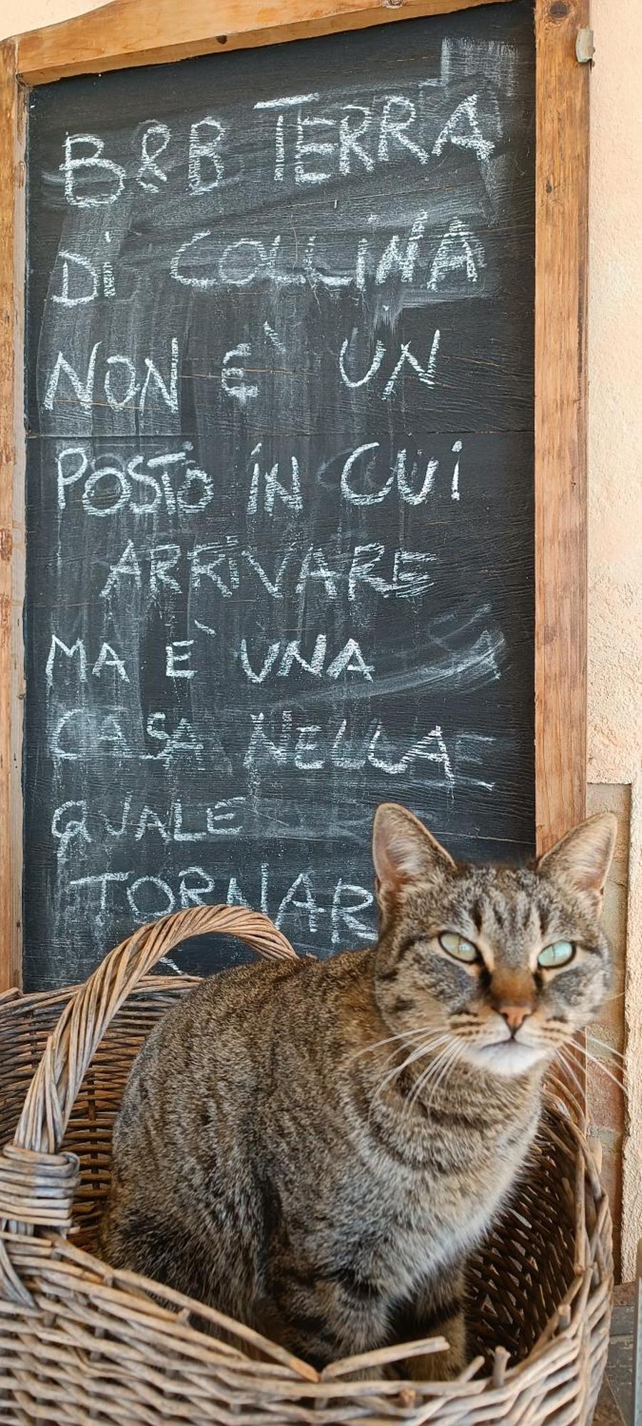Terra Di Collina Bed & Breakfast *